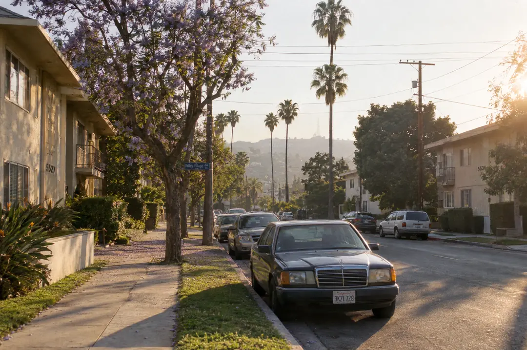 Tree-lined residential street in Valley Village, Los Angeles, in late afternoon light